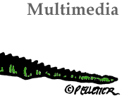 Multimedia Services
